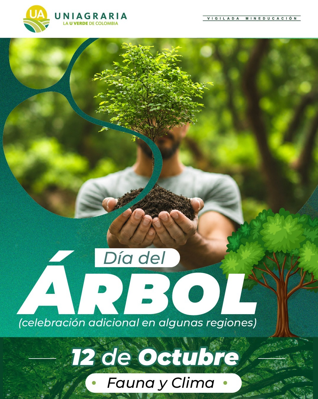 arbol