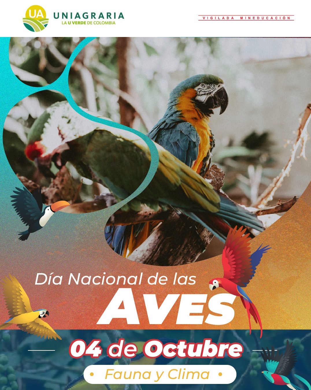 aves