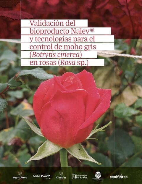 BioflorhassNalev 1