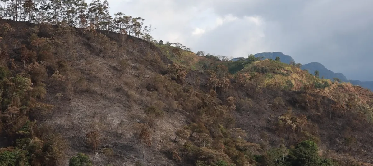 Incendios en Colombia