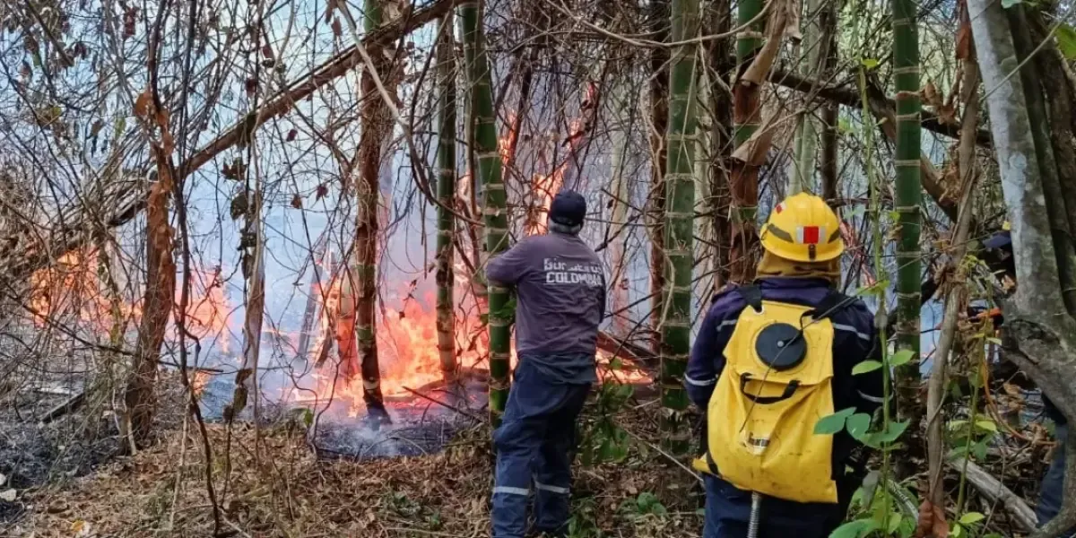 Las graves sanciones por provocar un incendio forestal como el de Villa de Leyva