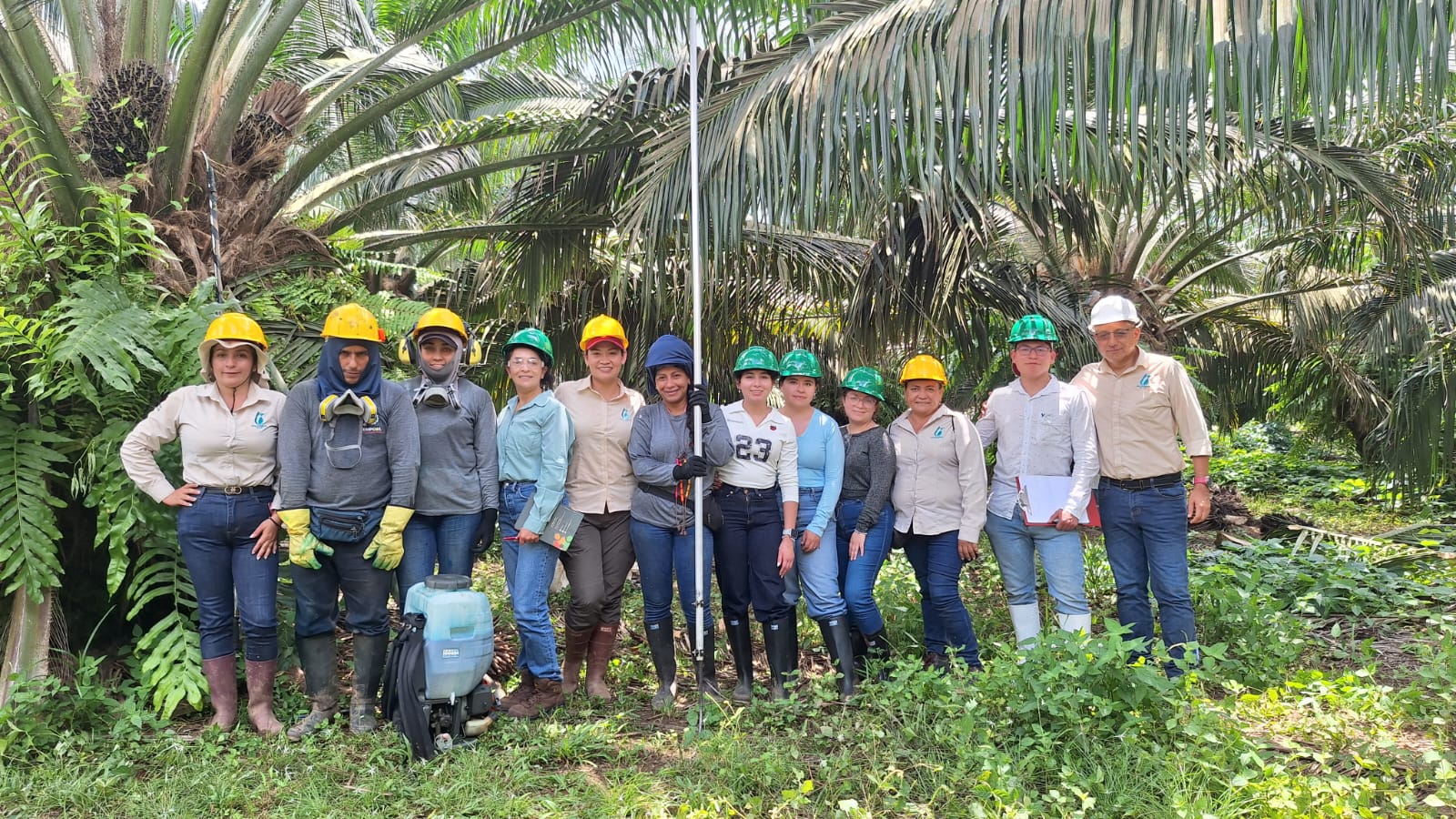 Visita técnica a Palmasol 1