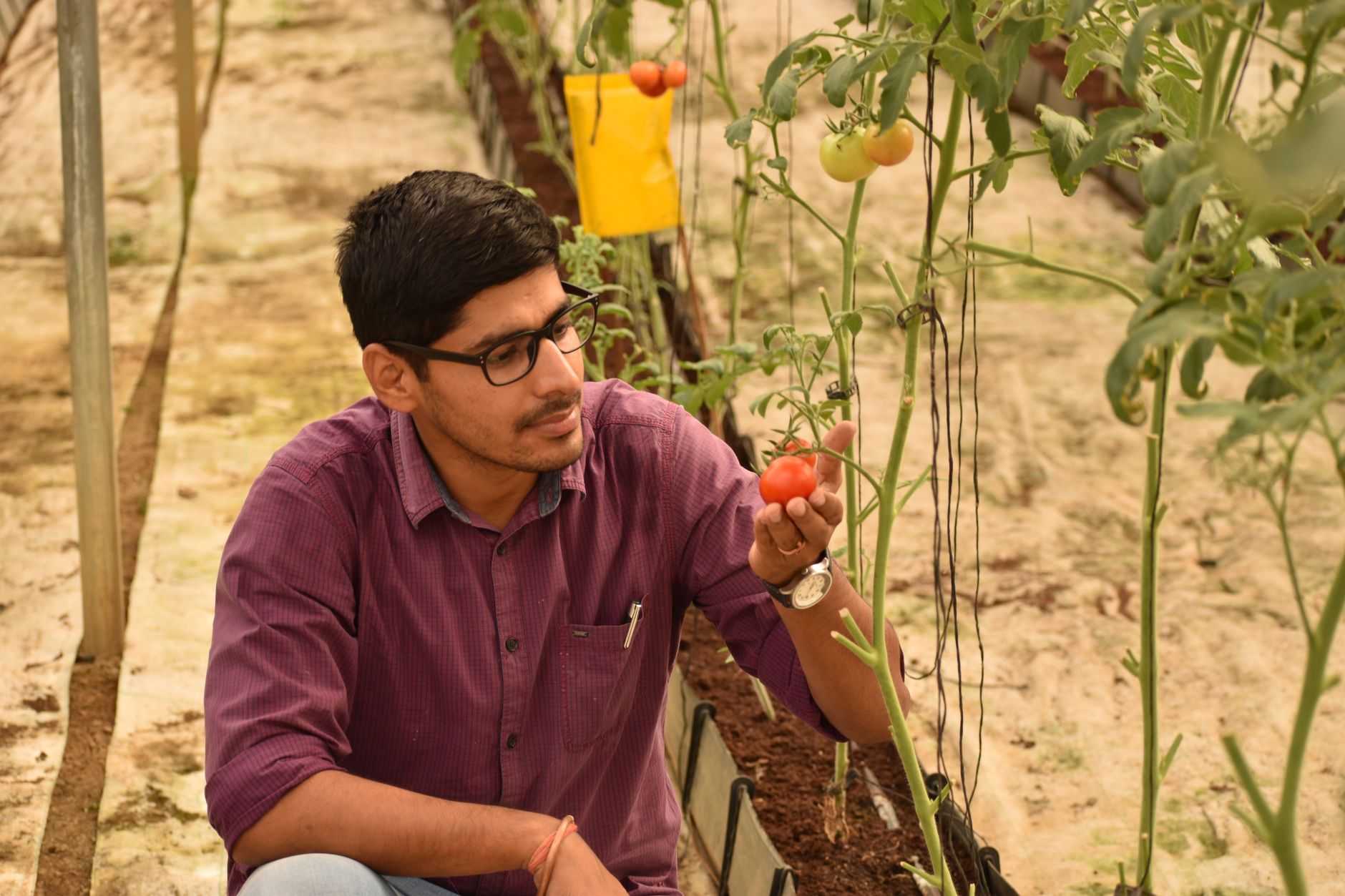 Curso gratuito de pre y poscosecha- UniAgraria capacita para reducir pérdidas en el agro