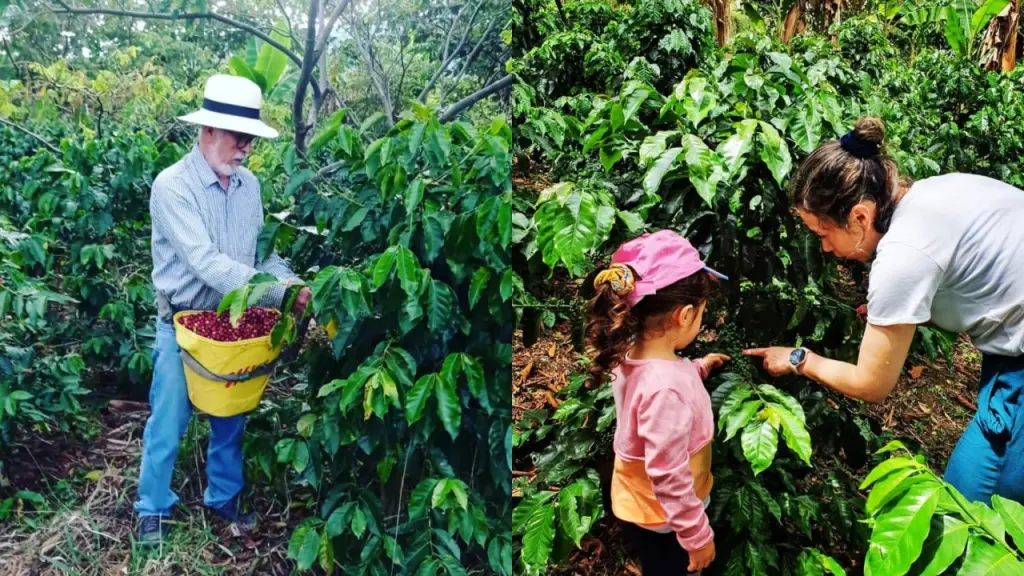 Promueven curso gratuito de pre y poscosecha para fortalecer las capacidades del sector agropecuario